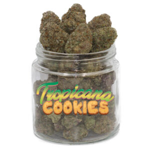 Buy Tropicana Cookies Weed Strain online Without Script, Buy Marijuana online, best cannabis strain, Tropicana cookies for sale online, Buy Cheap Afghan Kush, buy chocolates online, buy concentrates online, buy edibles, buy edibles online, BUY EDIBLES ONLINE REDDIT, buy edibles online ship anywhere, buy edibles online usa, buy edibles online without medical card, buy hash, buy hash online, buy illegal weed online, BUY LEGAL WEED ONLINE, buy marijuana, buy marijuana edibles, buy marijuana edibles online, BUY MARIJUANA ONLINE, buy marijuana online cheap, buy medical marijuana online, buy medical weed online, BUY REAL MARIJUANA ONLINE, BUY REAL WEED ONLINE, buy real weed online cheap, buy recreational weed online, buy salvia, buy shatter online, buy shatter online usa, BUY SKUNK ONLINE UK, BUY SYNTHETIC WEED ONLINE, buy terpenes online, buy thc cartridges online, buy thc edibles online, buy thc edibles online ship anywhere, buy thc gummies online, buy thc online, BUY VAPE PEN ONLINE, buy weed, buy weed canada, buy weed edibles online, BUY WEED ONLINE, buy weed online canada, buy weed online cheap, buy weed online usa, buy weed online without medical card, buying marijuana, BUYING WEED ONLINE, buying weed online reviews, buying weed online safe, california weed shops online, can i buy edibles online, can i buy marijuana online, can i buy weed online, can i order weed online, can u buy weed online, can you buy edibles online, can you buy marijuana online, Can you buy medical marijuana online, CAN YOU BUY WEED ONLINE, can you order edibles online, can you order marijuana online, can you order weed online, can you send weed in the mail, canada dispensary, candy online, cannabis buy, cannabis candy, cannabis chocolate, cannabis chocolate bar, cannabis com, cannabis distillate, cannabis edibles for sale, cannabis edibles online, cannabis online, cannabis online dispensary, cannabis online dispensary review, cbd distillate for sale, cbd shatter for sale, cheap edibles, cheap weed online, cherry vape, chocolates online, death bubba strain, DEATH STAR EDIBLE, DEATH STAR SEEDS, DEATH STAR STRAIN, DEATH STAR STRAIN SEEDS, DEATH STAR STRAIN YIELD, DEATH STAR WEED STRAIN, diamond shatter, discreet shipping, DISPENSARIES THAT SHIP OUT OF STATE, dispensaries that ship to texas, distillate weed, edible candy, edible cannabis candy, edible weed candy, edible weed treats, edibles delivery, edibles for sale, edibles online, edibles online no medical card, edibles online ship anywhere, edibles online weed, email terra, farm to vape kit, frank kush, free vape pen, free weed, get free weed online, get weed online, GIRL SCOUT COOKIES, glass blunt for sale, gorilla glue vape, gorilla vape pen, GREEN CRACK, green crack shatter, grow weed easy, hardcore og, hash online, high octane strain, high times, hindu tahoe strain, how 2 buy weed, how to buy edibles, how to buy edibles online, how to buy marijuana online, how to buy weed online, how to get free weed online, how to get weed online, how to grow weed, how to load a glass blunt, how to order edibles online, how to order marijuana online, how to order weed online, how to refill a vape pen, how to refill vape pen, how to ship edibles, how to ship marijuana, how to ship weed, indica flower, Indica Weed Strains, IS IT LEGAL TO BUY EDIBLES ONLINE, is weed legal in canada, john deere 420 for sale craigslist, KHALIFA KUSH, king kush, king kush strain, KUSH FOR SALE, larry og kush, larry og strain, LEGAL BUDS, legal weed, Legit Afghan Kush Online, lemon larry og, louis 13 weed, mail order, mail order cannabis, mail order dabs, mail order edibles, MAIL ORDER MARIJUANA, mail order pot, mail order weed, mail order weed online, mail order weed usa, mail terra, mailing small amounts of weed, marijuana by state, marijuana chocolate, MARIJUANA CLONES FOR SALE, marijuana concentrate, marijuana dictionary, marijuana distillate, marijuana edibles for sale, marijuana edibles online, MARIJUANA FOR SALE, MARIJUANA FOR SALE ONLINE, marijuana online, marijuana online store, marijuana seed bank, Marijuana Strains, medical cannabis doctors, medical cannabis online, medical cannabis states, medical marijuana dispensary, medical marijuana online, medical marijuana online store, medical marijuana states, MMJ, mmj express, mmj online system, moonrock cannabis, moroccan hash, most potent afghani strains, mowie wowie weed, nova weed, nuken strain, nyc diesel, OG KUSH, og vape pen, online dispensary canada, ONLINE DISPENSARY EDIBLES, ONLINE DISPENSARY SHIPPING, online dispensary shipping usa, online ordering, online weed dispensary, online weed store, Order Afghan Kush, order cannabis, order cannabis online, order dabs online, order edibles, order edibles online, order edibles online review, order marijuana, order marijuana edibles online, order marijuana online, order real weed online, order thc edibles online, order weed, order weed edibles online, ORDER WEED ONLINE, phoenix tears for sale, phoenix tears oil for sale, phoenix tears reviews, phoenix tears thc, pineapple afghani effects, pink marijuana, pink starburst strain, pink starburst weed, purchase marijuana online, purchase weed online, purple shatter, red congolese, rx cannabis online sale, selling weed online, shipping edibles, shipping wax in the mail, snoop dogg moon rocks, snoops dream, snoops dream strain, starburst strain, stoner slang, sun rocks vs moon rocks, tara weeds, terra blueberries, terra cannabis, terra com mail, terra life, terra mail usa, thc candy, thc concentrate for sale, thc crystalline for sale, thc edibles for sale, thc edibles online, thc gum, thc gummies for sale, thc peanut butter, thc shipping, toronto dispensary no card, tuna kush, vancouver dispensary no card, vancouver weed shops, vape pen cartridge refill, vape refills, weed brownies for sale, weed candy, weed candy for sale, weed dispensary toronto, weed distillate, weed edibles, weed edibles delivery, weed edibles for sale, weed edibles for sale online, weed edibles online, weed flower, weed for sale, weed for sale online, WEED FOR SALE ONLINE 420 MAIL ORDER, weed for sale online cheap, weed gummies for sale, weed online, weed online cheap, weed pen, weed seeds, weed shop online, weed websites to buy from, what are phoenix tears, what are sun rocks, what is budder, where can i buy afghan kush, where can i buy edibles, where can i buy marijuana, where can i buy marijuana online, where can i buy weed online, where can i get weed online, where did the term 420 come from, where to buy cannabis, where to buy dabs online, where to buy edibles, where to buy edibles online, where to buy marijuana online, where to buy shatter wax online, where to buy weed online, where to get edibles, where to get weed online, where to order weed online, white castle strain, your cannabis orders, https://www.redwonderland.com
