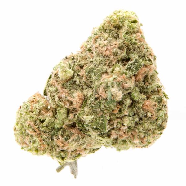 Buy Gelato Marijuana Strain online, buy Gelato marijuana, buy Gelato marijuana In Austria, buy Gelato marijuana In France, buy Gelato marijuana In Germany, buy Gelato marijuana In Hungary, buy Gelato marijuana In Italy, Buy Gelato Marijuana Online, buy Gelato online, BUY MARIJUANA ONLINE, Buy Marijuana Online Australia, Buy Marijuana Online Europe, Buy marijuana online in usa, Buy Marijuana Online USA, Buy Medical Marijuana Online, Buy Moonrock Online UK, buy moonrocks online, Buy weed online, Buy weed online Discreetly, Buy Weed Online Europe, Gelato Marijuana Strain for sale online, Gelato buds for sale, where to buy Gelato weed strains online, Gelato weed strain, Gelato cannabis strains for sale, buy buds for sale online,Weed for sale online, 420 mail order, Gelato to smoke online, https://www.redwonderland.com