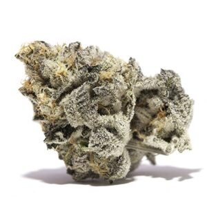 420 mail order, Best Online Dispensary, BHO, brian cannabis dispensary, brownie bites order online, buy blue dream wax online uk, buy cannabis, buy cannabis oil online, buy cannabis oil online uk, buy cannabis online, buy cannabis wax online, buy drugs online, buy edible marijuana online, buy edibles online, buy hash oil online, BUY KUSH ONLINE, buy legal weed online cheap, buy marijuana, buy marijuana edibles online, BUY MARIJUANA ONLINE, buy marijuana online uk, buy marijuana seeds online, buy medical marijuana, buy medical marijuana online, buy moonrocks online, buy northern lights seeds, buy og kush pre rolled joints, buy pre rolled joints online, buy pre rolled joints online uk, buy purple bud seeds france, BUY REAL MARIJUANA ONLINE, BUY REAL WEED ONLINE, buy recreational marijuana online, buy recreational weed online, buy shatter online, BUY SYNTHETIC WEED ONLINE, buy weed, buy weed cheap online, BUY WEED ONLINE, buy weed online uk, buy weed seeds online, buy weed wax online, buy weed wax online buy blue dream wax online, buying marijuana online, buying marijuana seeds online, BUYING WEED ONLINE, can i buy blue dream wax online, can i buy weed online, can you buy marijuana online, CAN YOU BUY WEED ONLINE, cannabis for sale, cannabis fudge, cannabis fudge brownie bites, cannabis oil for sale, cbd hemp oil, cbd oil for sale, cookies brand vape cartridges, cookies cartridges review, feathr vape girl scout cookies, get marijuana online, girl scout cookie co2 oil cartridges, girl scout cookie co2 oil cartridges 2017, girl scout cookie co2 oil cartridges benefits, girl scout cookie co2 oil cartridges change, girl scout cookie co2 oil cartridges chart, girl scout cookie co2 oil cartridges coupon, girl scout cookie co2 oil cartridges coupons, girl scout cookie co2 oil cartridges for sale, girl scout cookie co2 oil cartridges free, girl scout cookie co2 oil cartridges gun, girl scout cookie co2 oil cartridges list, girl scout cookie co2 oil cartridges locations, girl scout cookie co2 oil cartridges made, girl scout cookie co2 oil cartridges online, girl scout cookie co2 oil cartridges price, girl scout cookie co2 oil cartridges prices, girl scout cookie co2 oil cartridges recipe, girl scout cookie co2 oil cartridges replacement, girl scout cookie co2 oil cartridges reviews, girl scout cookie co2 oil cartridges walmart, girl scout cookie co2 oil cartridges work, girl scout cookies cartridge exotic carts, gold label girl scout cookies oil, grape vape girl scout cookies, hash oil cartridges for sale, hash oil for sale, hash oil for sale in colorado, hash oil liquid for sale, how to buy marijuana online, how to buy marijuana safely, how to buy weed online, how to make hash oil, joints online, liquid hash oil for sale, MAIL ORDER MARIJUANA, mail order pot, mail order weed, MARIJUANA FOR SALE, marijuana oil for sale, medical hash oil for sale, medical marijuana, most potent hash oil, northern lights seeds, ONLINE DISPENSARY SHIPPING, online dispensary shipping worldwide, online weed shop, online weed shops, order blue dream wax online europe, order hash oil online, order northern lights seeds, order purple bud seeds france, order real marijuana online, ORDER WEED ONLINE, ordering marijuana online, ordering weed online, pack of joints for sale, pineapple express strain, pre rolled blunts, pre rolled cones, pre rolled joint machine, pre rolled joint packs, pre rolled joint papers, pre rolled joints, pre rolled joints amazonpre rolled joints amazon, pre rolled joints colorado, pre rolled joints dispensary, pre rolled joints for sale, pure vape girl scout cookie, purple bud seeds, stick e vape girl scout cookies, super lemon haze cannabis oil, thc hash oil for sale, trusted mail order marijuana, vape pen hash oil, weed for sale, weed for sale online, WEED FOR SALE ONLINE 420 MAIL ORDER, weed online, where can i buy blue dream wax online, where can i buy marijuana online, where can i buy thc oil, where can i buy weed online legally, Buy Girl Scout Cookies Cannabis Strain online, girl scout cookies strain. buy girl scout cookies online, where to buy Girl scout cookies online, https://www.redwonderland.com