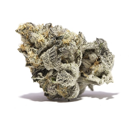 420 mail order, Best Online Dispensary, BHO, brian cannabis dispensary, brownie bites order online, buy blue dream wax online uk, buy cannabis, buy cannabis oil online, buy cannabis oil online uk, buy cannabis online, buy cannabis wax online, buy drugs online, buy edible marijuana online, buy edibles online, buy hash oil online, BUY KUSH ONLINE, buy legal weed online cheap, buy marijuana, buy marijuana edibles online, BUY MARIJUANA ONLINE, buy marijuana online uk, buy marijuana seeds online, buy medical marijuana, buy medical marijuana online, buy moonrocks online, buy northern lights seeds, buy og kush pre rolled joints, buy pre rolled joints online, buy pre rolled joints online uk, buy purple bud seeds france, BUY REAL MARIJUANA ONLINE, BUY REAL WEED ONLINE, buy recreational marijuana online, buy recreational weed online, buy shatter online, BUY SYNTHETIC WEED ONLINE, buy weed, buy weed cheap online, BUY WEED ONLINE, buy weed online uk, buy weed seeds online, buy weed wax online, buy weed wax online buy blue dream wax online, buying marijuana online, buying marijuana seeds online, BUYING WEED ONLINE, can i buy blue dream wax online, can i buy weed online, can you buy marijuana online, CAN YOU BUY WEED ONLINE, cannabis for sale, cannabis fudge, cannabis fudge brownie bites, cannabis oil for sale, cbd hemp oil, cbd oil for sale, cookies brand vape cartridges, cookies cartridges review, feathr vape girl scout cookies, get marijuana online, girl scout cookie co2 oil cartridges, girl scout cookie co2 oil cartridges 2017, girl scout cookie co2 oil cartridges benefits, girl scout cookie co2 oil cartridges change, girl scout cookie co2 oil cartridges chart, girl scout cookie co2 oil cartridges coupon, girl scout cookie co2 oil cartridges coupons, girl scout cookie co2 oil cartridges for sale, girl scout cookie co2 oil cartridges free, girl scout cookie co2 oil cartridges gun, girl scout cookie co2 oil cartridges list, girl scout cookie co2 oil cartridges locations, girl scout cookie co2 oil cartridges made, girl scout cookie co2 oil cartridges online, girl scout cookie co2 oil cartridges price, girl scout cookie co2 oil cartridges prices, girl scout cookie co2 oil cartridges recipe, girl scout cookie co2 oil cartridges replacement, girl scout cookie co2 oil cartridges reviews, girl scout cookie co2 oil cartridges walmart, girl scout cookie co2 oil cartridges work, girl scout cookies cartridge exotic carts, gold label girl scout cookies oil, grape vape girl scout cookies, hash oil cartridges for sale, hash oil for sale, hash oil for sale in colorado, hash oil liquid for sale, how to buy marijuana online, how to buy marijuana safely, how to buy weed online, how to make hash oil, joints online, liquid hash oil for sale, MAIL ORDER MARIJUANA, mail order pot, mail order weed, MARIJUANA FOR SALE, marijuana oil for sale, medical hash oil for sale, medical marijuana, most potent hash oil, northern lights seeds, ONLINE DISPENSARY SHIPPING, online dispensary shipping worldwide, online weed shop, online weed shops, order blue dream wax online europe, order hash oil online, order northern lights seeds, order purple bud seeds france, order real marijuana online, ORDER WEED ONLINE, ordering marijuana online, ordering weed online, pack of joints for sale, pineapple express strain, pre rolled blunts, pre rolled cones, pre rolled joint machine, pre rolled joint packs, pre rolled joint papers, pre rolled joints, pre rolled joints amazonpre rolled joints amazon, pre rolled joints colorado, pre rolled joints dispensary, pre rolled joints for sale, pure vape girl scout cookie, purple bud seeds, stick e vape girl scout cookies, super lemon haze cannabis oil, thc hash oil for sale, trusted mail order marijuana, vape pen hash oil, weed for sale, weed for sale online, WEED FOR SALE ONLINE 420 MAIL ORDER, weed online, where can i buy blue dream wax online, where can i buy marijuana online, where can i buy thc oil, where can i buy weed online legally, Buy Girl Scout Cookies Cannabis Strain online, girl scout cookies strain. buy girl scout cookies online, where to buy Girl scout cookies online, https://www.redwonderland.com