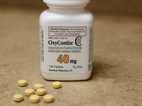 best opioid pain medication ,best place to buy oxycodone online ,best place to buy oxycodone online ,buy oxycodone for chronic pain ,buy oxycodone for chronic pain ,buy oxycodone for pains cheap ,buy oxycodone for pains cheap ,buy oxycodone online ,buy oxycodone online ,buy oxycodone online legally ,buy oxycodone online legally ,buy oxycodone online without prescription ,buy oxycodone online without prescription ,can I buy Oxycodone online without prescription ,can I buy Oxycodone online without prescription cheap ,oxycodone cheap ,oxycodone ,Oxycodone Oxycodone ,Oxycodone 15 mg ,Oxycodone 15 mg ,Oxycodone 15mg ,Oxycodone 15mg ,Oxycodone 30 mg ,Oxycodone 30 mg ,Oxycodone 30mg ,Oxycodone 30mg ,Oxycodone 80 mg ,Oxycodone 80 mg ,Oxycodone 80mg ,Oxycodone 80mg ,Oxycodone for pains ,Oxycontin for pains ,oxycodone for sale online ,oxycontin for sale online ,Oxycodone for sale online without prescription ,Oxycontin for sale online without prescription ,oxycodone online without prescription ,Oxycontin ,Oxycontin 80 ,where can I buy oxycontin online without prescription ,where to buy Oxycodone online without prescription